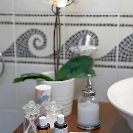 Boutique Palea Poli