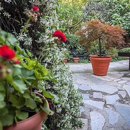 Boutique Palea Poli